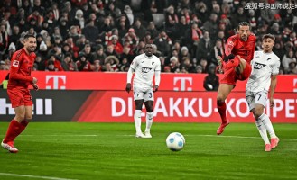 拜仁VS霍芬海姆 赛事分析